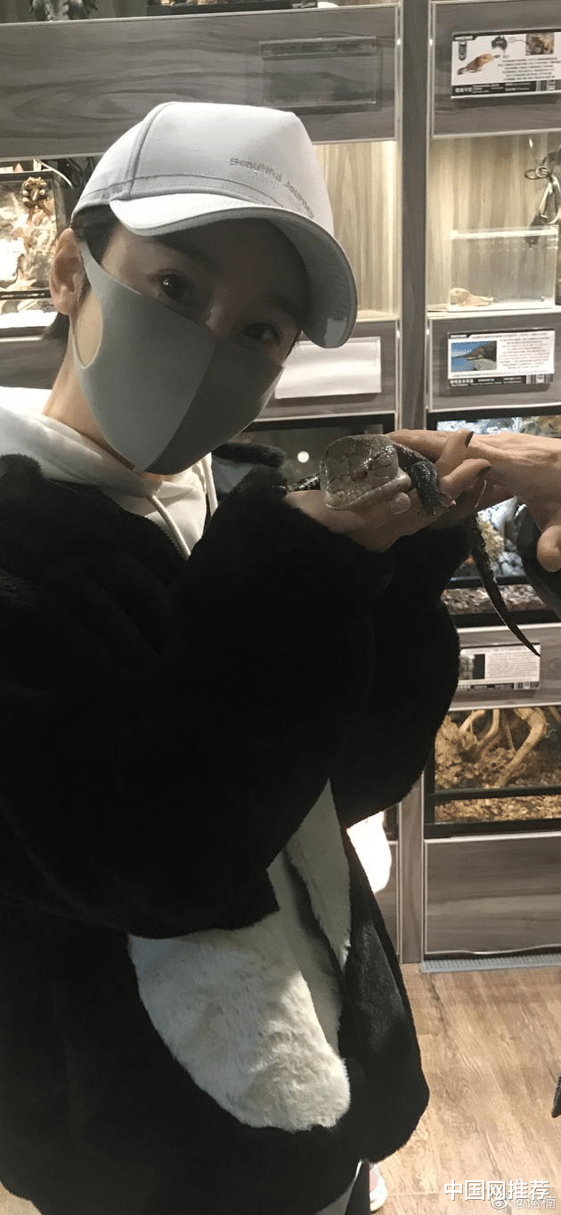 中国网推荐 谢楠晒照大胆摸抱爬行动物 旁边多出半只小哥哥的手