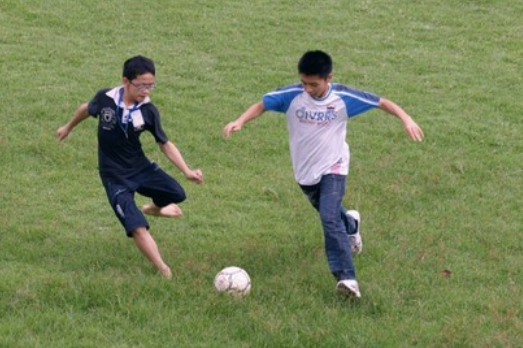 糯妈育儿经|小学作文《我的小姨》走红，全文信息量很大，怪不得小姨嫁不出去