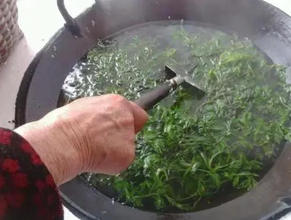 美食轩事|郑州一女子，经常用艾叶煮水洗头，一段时间后，真的有效果吗？
