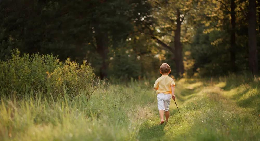大手牵萌娃|教育专家说:如果懂得这几条教育法则,调皮捣蛋男孩不难养!
