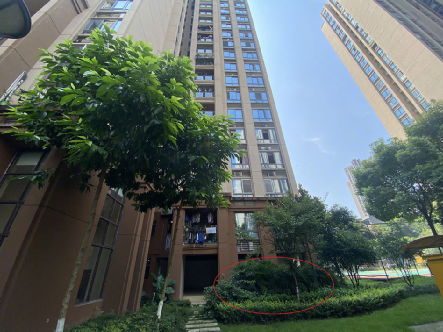 杜淳|被吴亦凡淹没的热搜，看得我浑身发抖