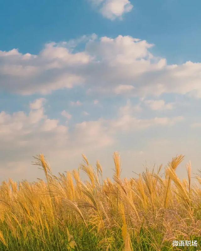 |「社交智慧」5条为人处世思维，职场人必备，升职加薪指日可待