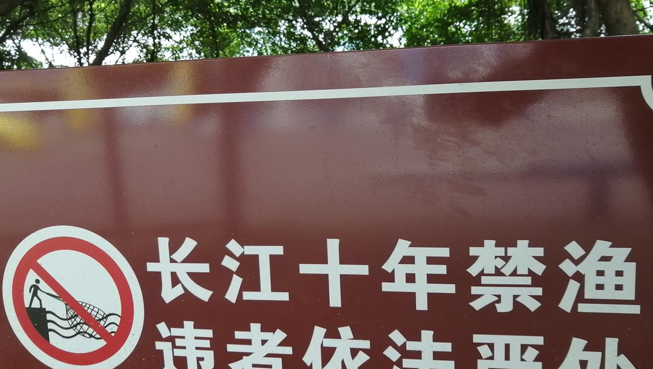 切尔西得饮水机呀 四川蓬安3男子组团到高坪干坏事，迟到的正义来了，百姓纷纷点赞