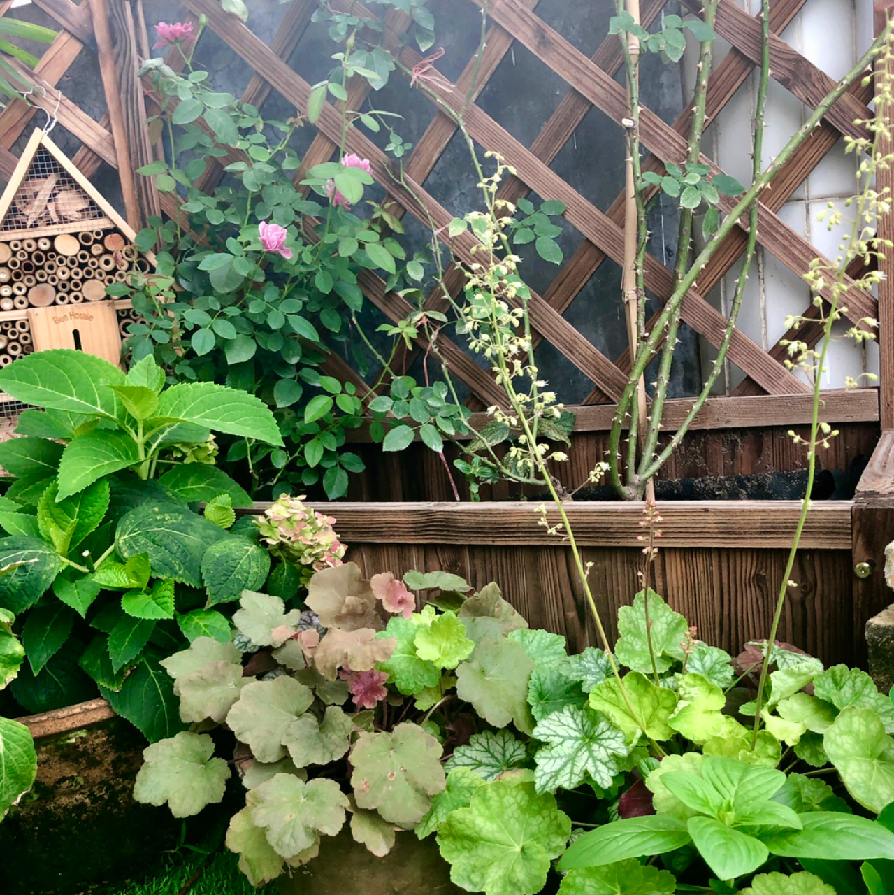 荒废多年的80㎡楼顶露台,DIY改造花园,从无到有满满的成就感了