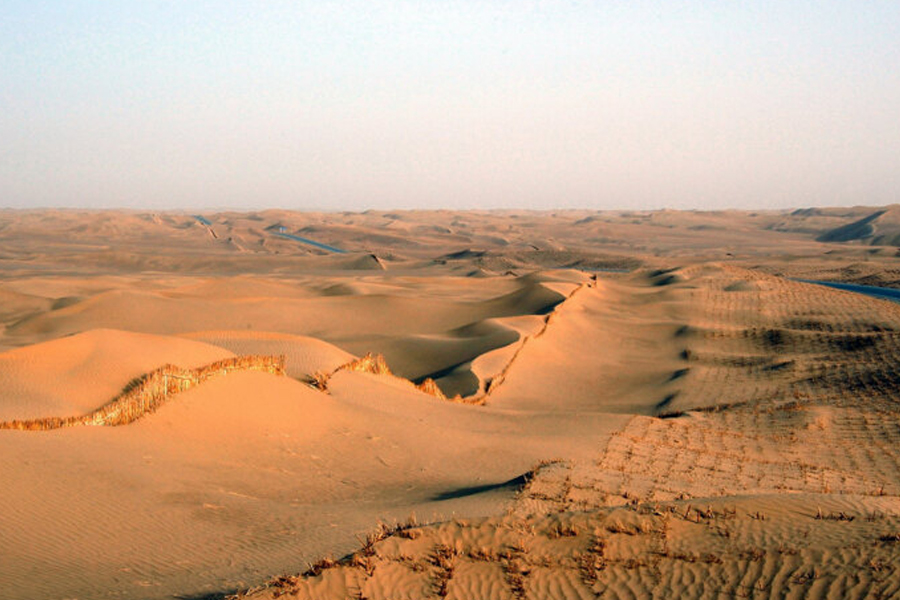 科学家 植物学家深入大漠,一心赴死还是另有隐情?黄沙之下有什么秘密?