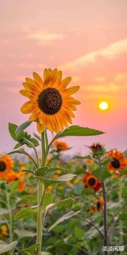 肖战|肖战品牌联动又出新玩法！《余生》或将延期播出！粉丝表示理解！