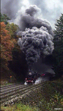 大学生|“华为1996年的招聘广告，大家自己感受一下！”哇哈哈哈哈～