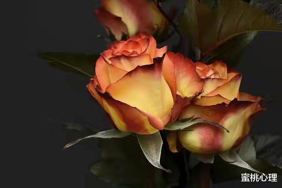 蜜桃心理|真爱一个人，需要掌握4个恋爱法则，避开感情不顺的悲剧
