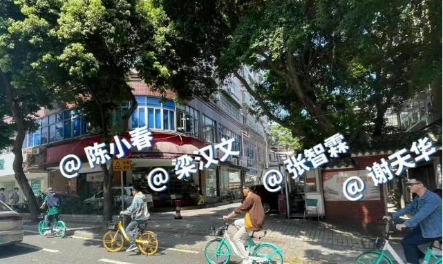 情话屋 《披荆斩棘》大湾区被拆散,观众难说再见,最新团综,拉满期待值