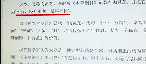 男子河边钓鱼，意外捡到乌黑的“宝贝”，拍卖公司：价值上亿