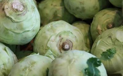 最精辟的一句话|芜菁甘蓝与结球甘蓝有什么区别？怎么种植？
