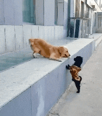 萌控孩|“从爷爷床底下发现的,这到底值不值钱啊?”哈哈哈感觉自己要发财了啊