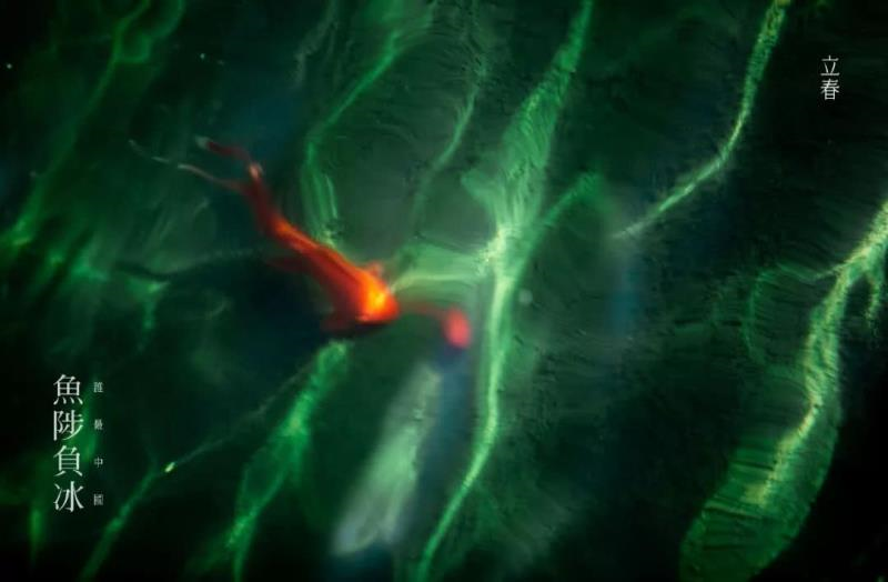 汝州广播电视台 今日立春：愿我们，不负春光，不负自己