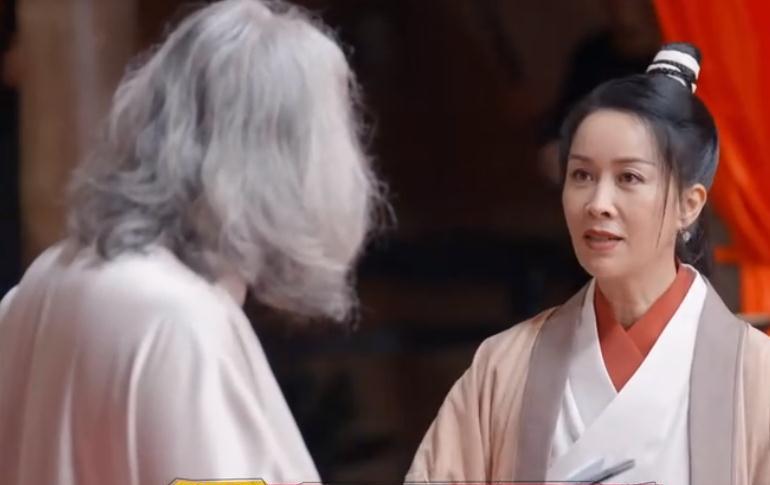 林允|林允是“小丑女”，没有林青霞清纯，那英不红，张纪中还说了什么