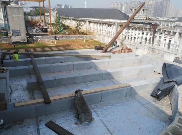 就为了露台他买下顶楼，一番大改后过上了田园生活，真让人羡慕！