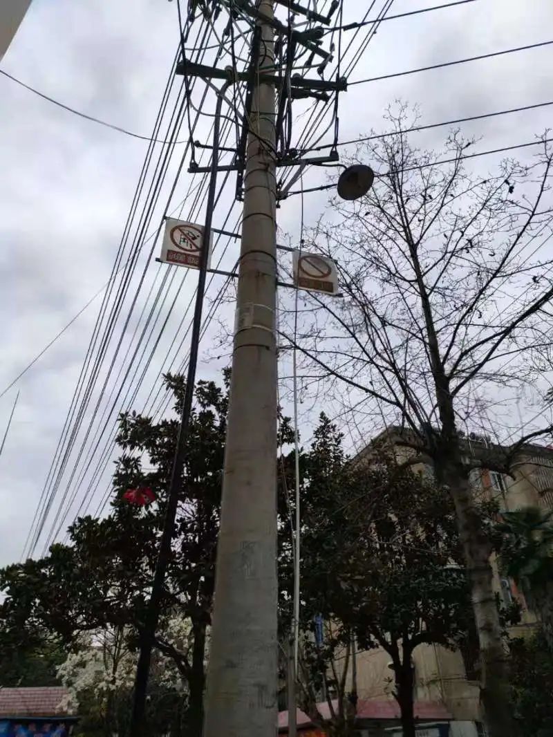 牛哥观察 阜阳一小区内拍下，连夜处理！