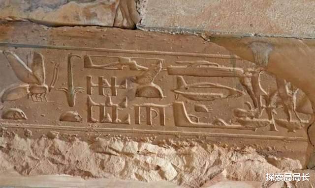 爱因斯坦 推翻达尔文进化论？美国科学家认为，人类或是外星人的弃婴