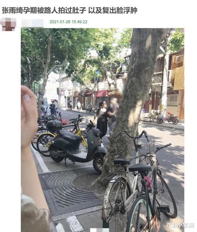 张雨绮|杨天真晒张雨绮孕肚照辟谣代孕，工作人员晒她聊天记录：一次怀俩