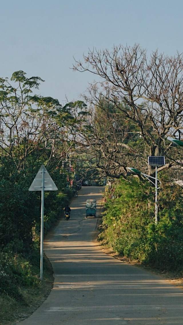 北海|一个人来北海看海了