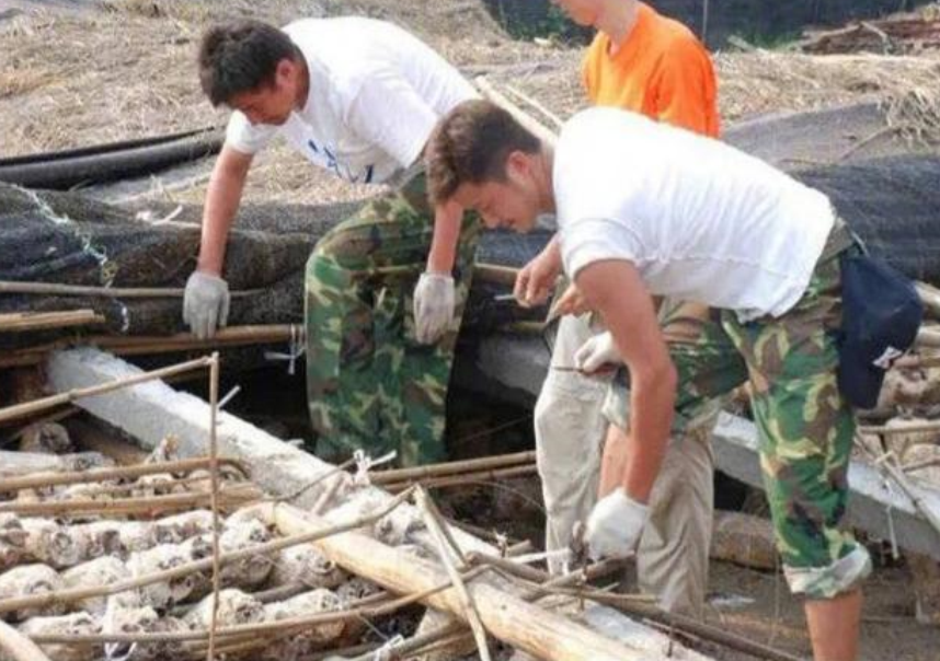 吴京|吴京伤情报告曝光,全身缝合100多针:硬汉?你太小看他了