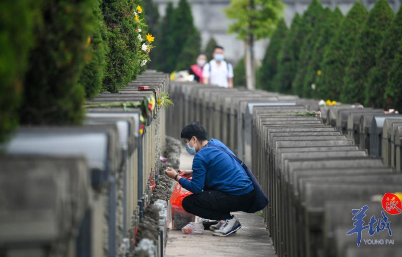 羊城派 清明三天,广东殡葬服务机构接待约660万人