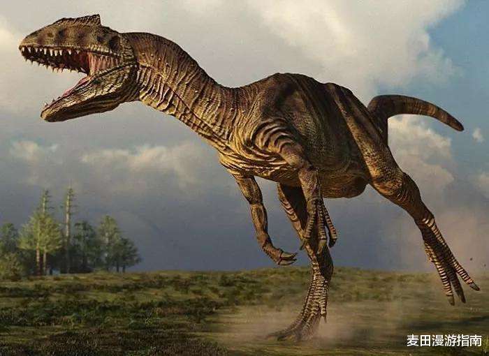 恐龙 找到食肉恐龙化石！谁说我们没有食肉龙？