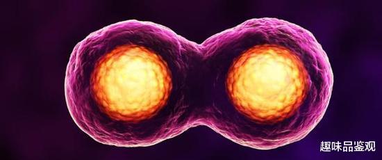 基因 人类最稀有的9种基因，全球拥有者仅5%，看看你有吗