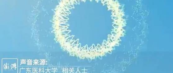用玻璃刺伤同学,又勇又猛被网友称“开瓢姐”,学校表示暂不处理