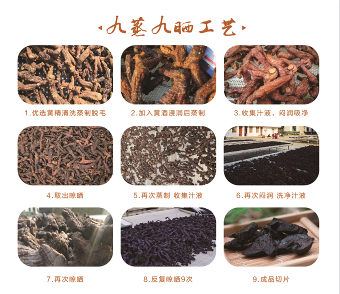 黄精|黄精在现代医学中的医药功效发现!