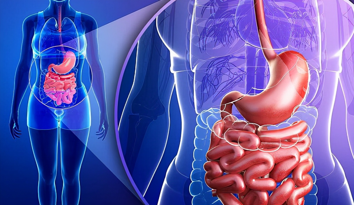 蔬菜|世卫组织曝光的致癌“蔬菜”，不少人当养生菜，不想胃报废，尽早忌口