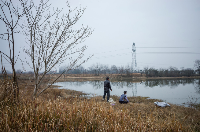 鲫鱼|冬季无论在哪钓，只要按这所说的寻找鱼群，上鱼速度那叫一个快