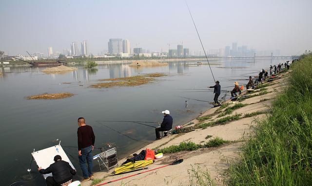 钓鱼|“禁渔令”禁止多钩作钓,那么台钓双钩是否也在禁止范围内呢?