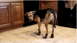 创业|“古代罪犯秋后问斩，为什么一定要放在这个时候呢？”