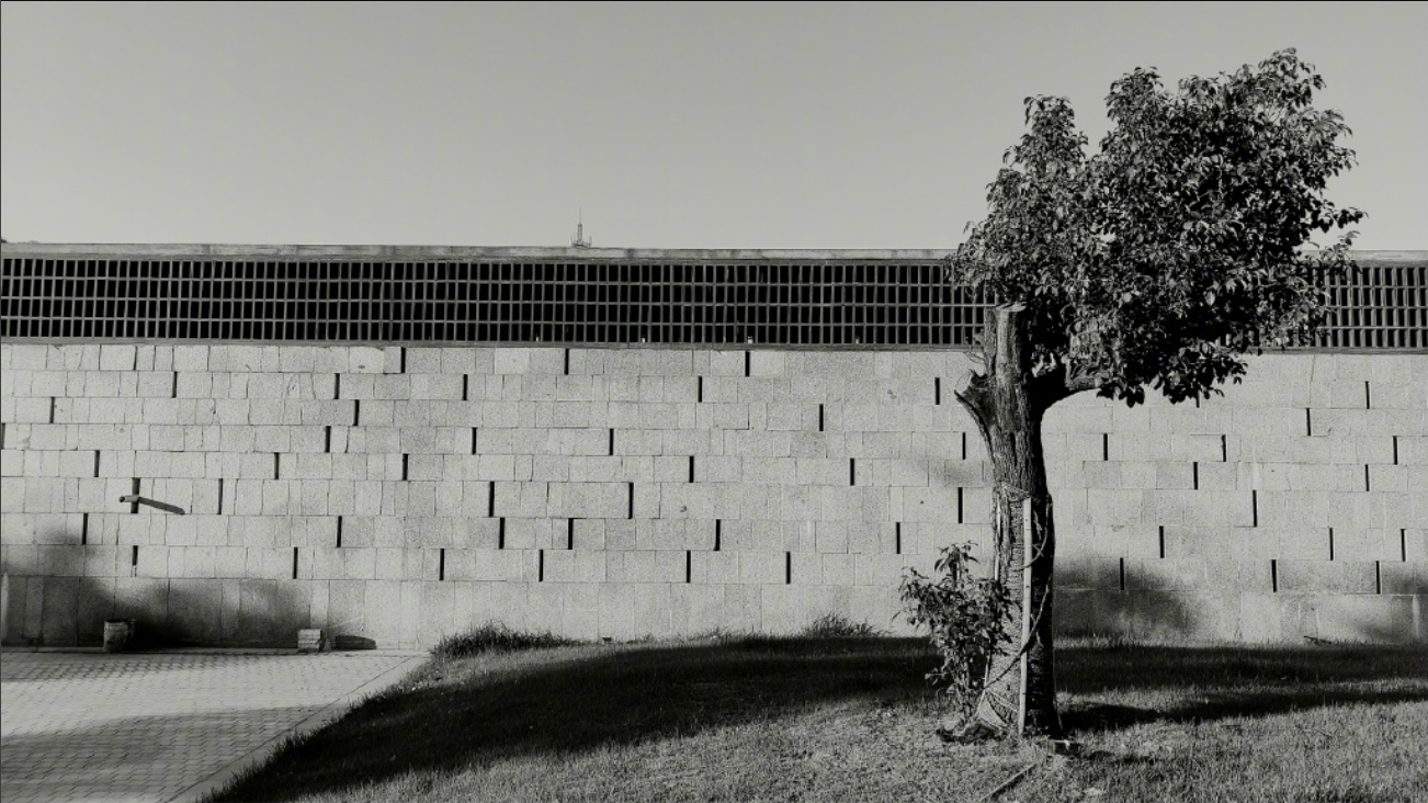 相机|是器材党的错觉，还是技术流的局限？摄影深坑你中了几个