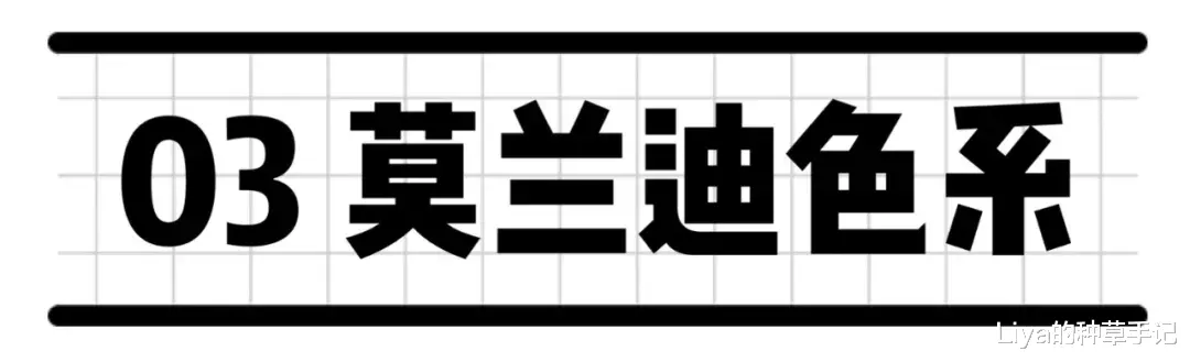 Liya的种草手记|基础款 + 极简风 ，太高级了