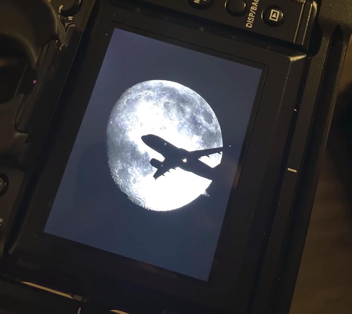 海之归墟|29张难以置信的巧合照片，拍下它的人运气太好了