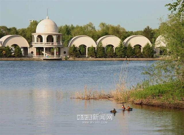 哈尔滨新闻网 好热，但是好喜欢｜这样的你，爱了