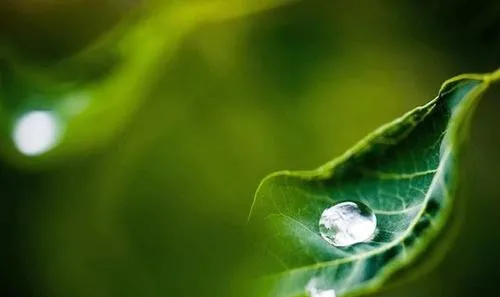 小高考|《荷塘月色》《故都的秋》《我与地坛》群文教学应该关注的点