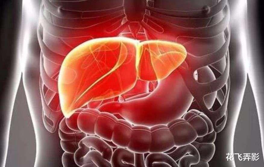 |18个关于人体的冷知识！你真的了解你的身体吗？