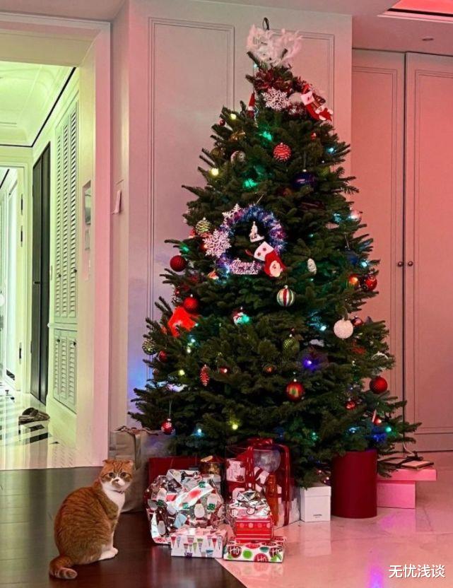 林志颖|林志颖家中挂圣诞袜，被发现多了一只小小的B字袜，引起热议