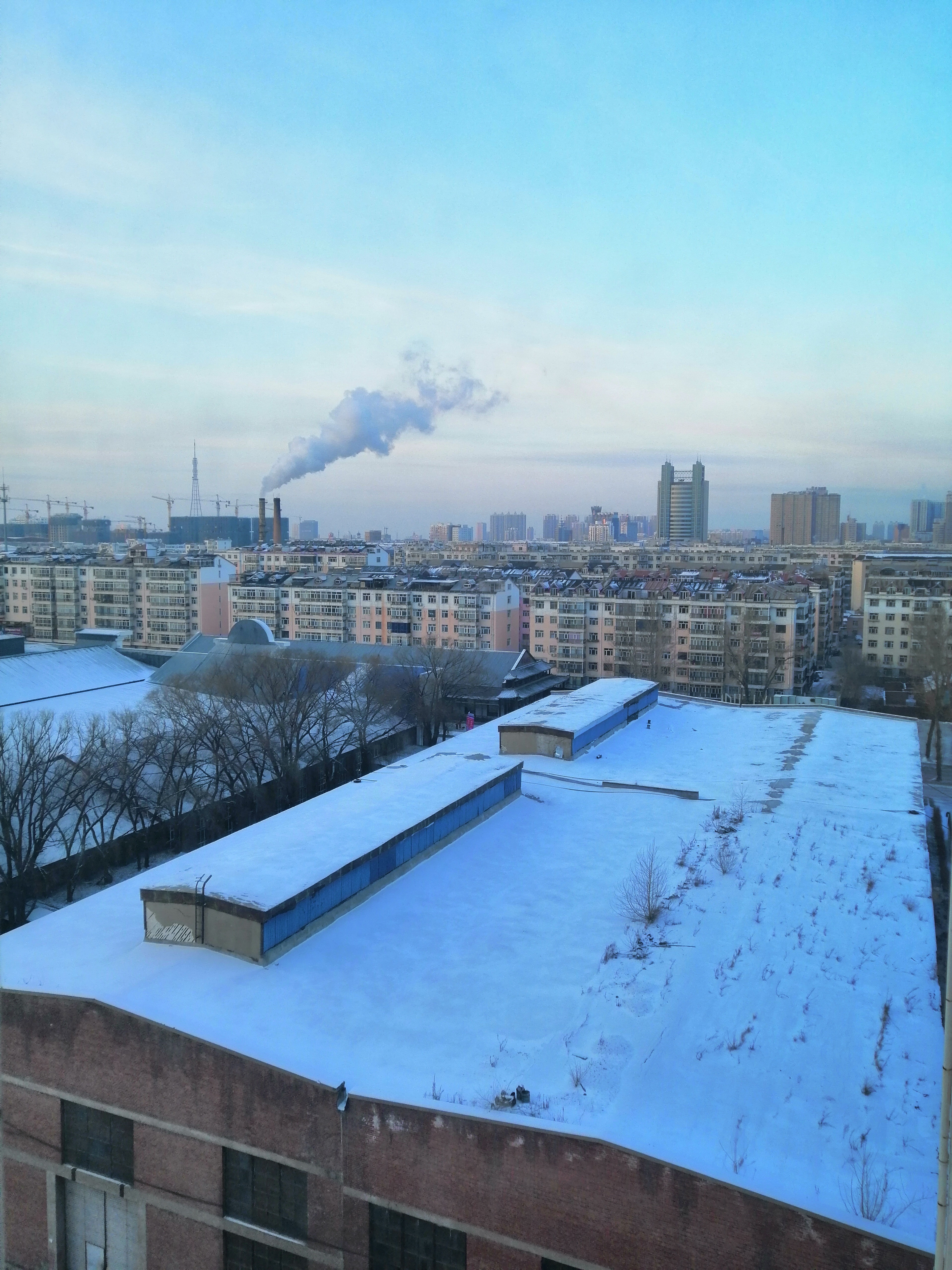 szfreeman 眺望白色煙柱扶搖直上，雪地里走著，慢慢地就白了頭