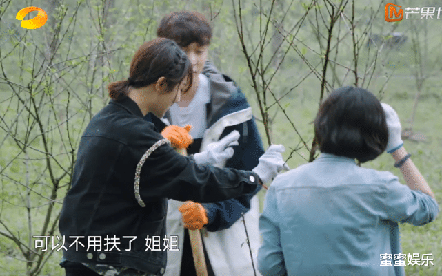 杨紫|4次甜蜜偷瞄，从寡言秒变话痨，张艺兴对杨紫的心动是真的