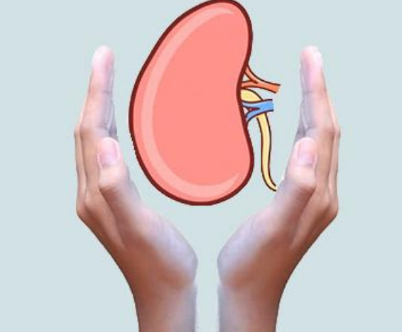 肾结石|肾结石如何治疗？