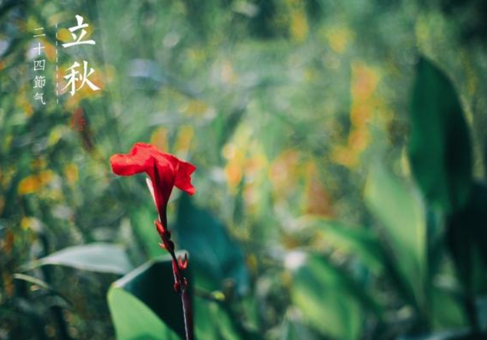  “早立秋凉飕飕，晚立秋热死牛”，是不是迷信，有科学依据吗？