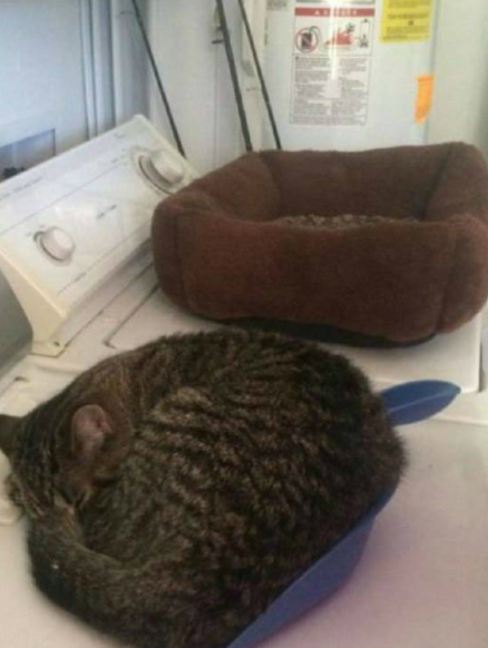 摄像头 搞笑GIF：姐姐，你后面那个是摄像头吗？