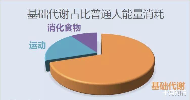 女孩 吃得越少、动得越多就会瘦得越快？减肥，如果是这么简单就好了