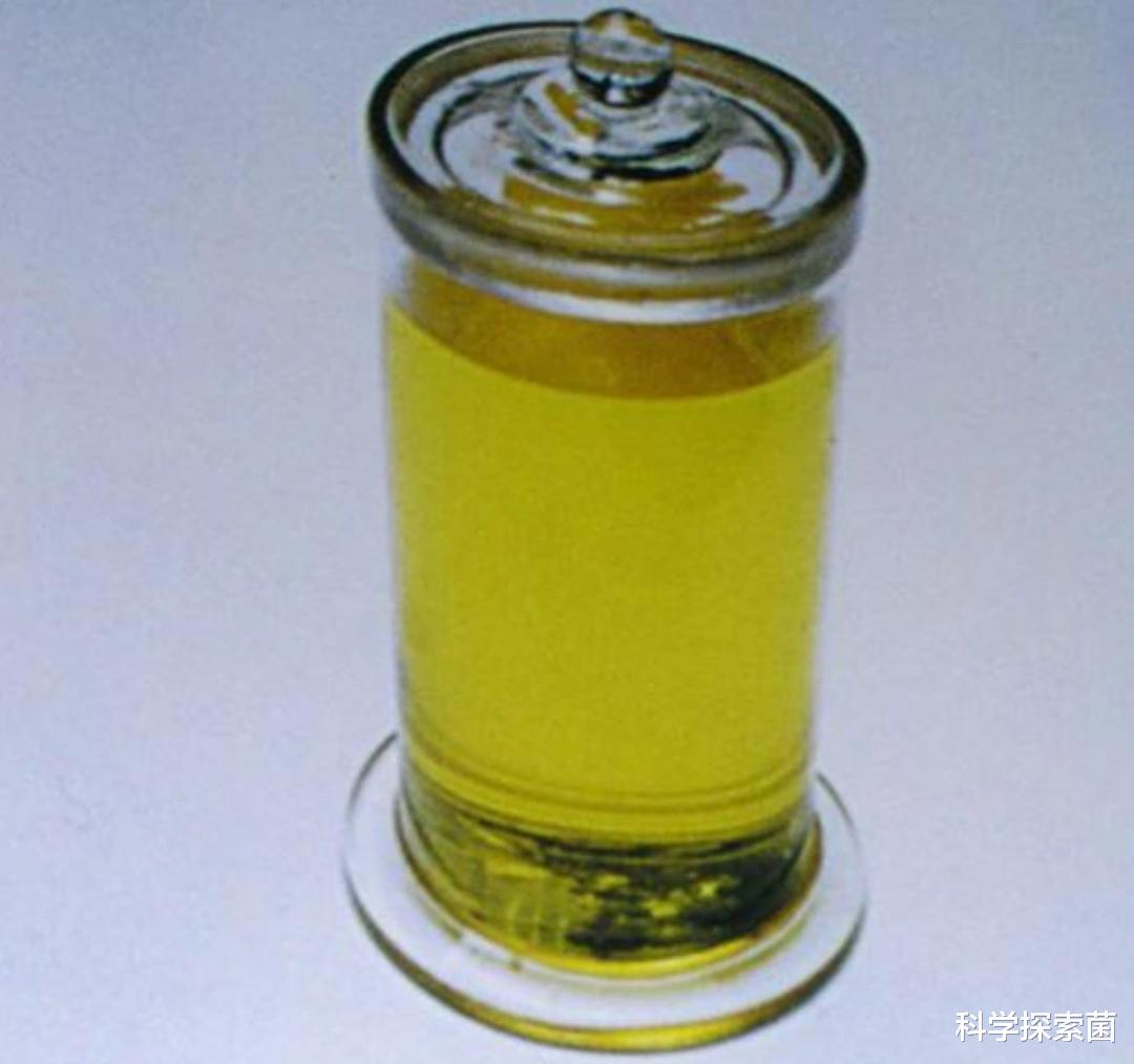 毒蛇 菜花蛇无毒，凭什么被称为百蛇之王？为什么其它毒蛇反而怕它？