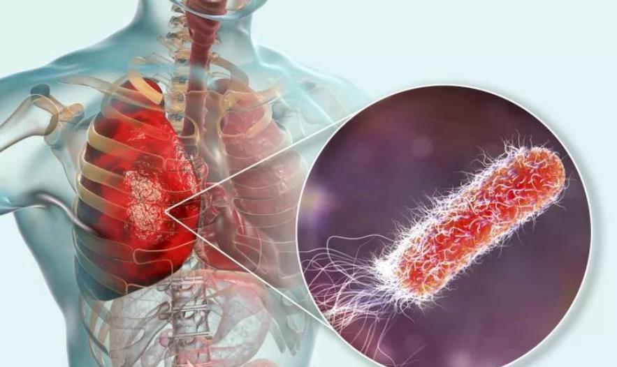 情微说|百草枯究竟有多毒?给你足够的时间去后悔,却不给你活命的机会