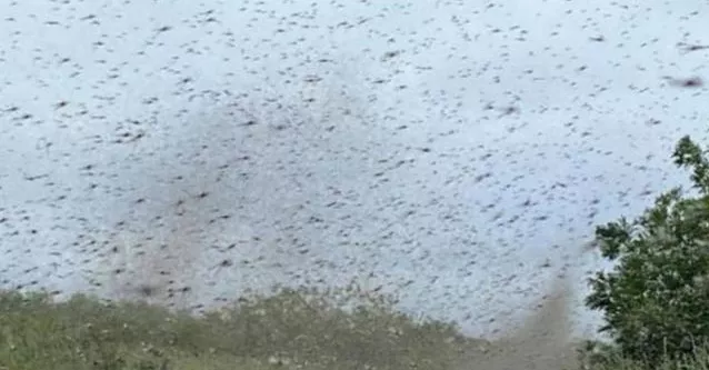 囚犯 历史上10大翻车的科学实验！