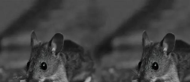  著名的25号“宇宙实验”，说明了什么？让我们用辩证的角度去看待